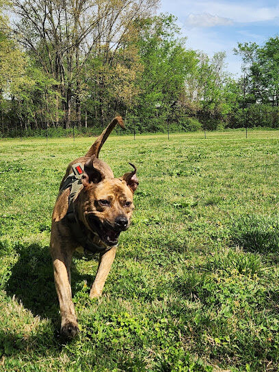 Ashland City Dog Park