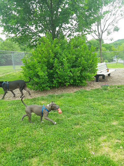 Bark Park