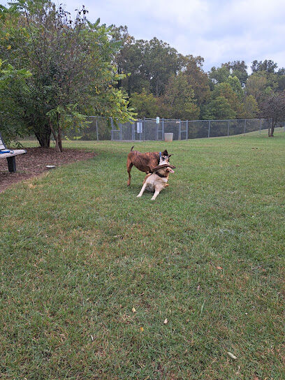 Dog Park