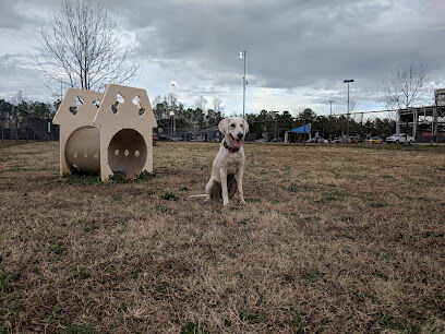 Chattanooga Chew Chew Canine Park