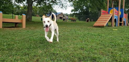 Muletown Bark Park