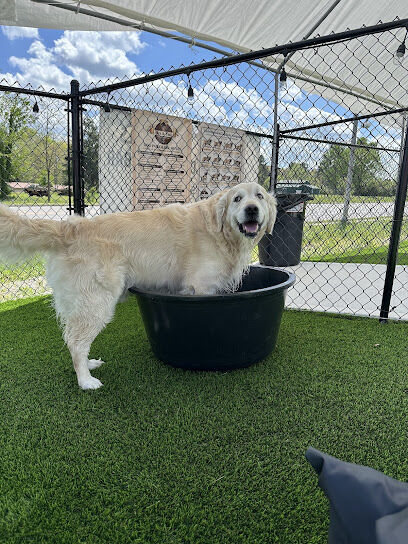 Ales & Tails Dog Park and Bar