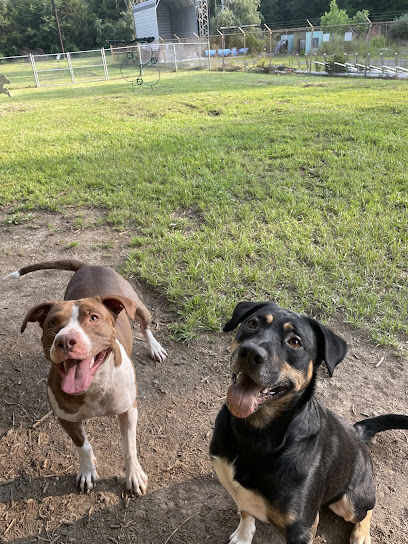 Decatur Dog Park