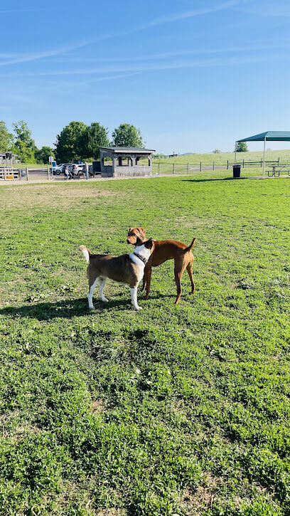 K-9 Korral Dog Park