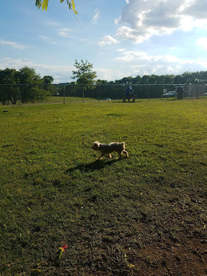 Fenway's Dog Park