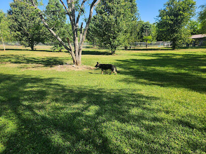 Greenville Dog Park