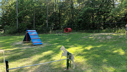 Chester T Dog Park