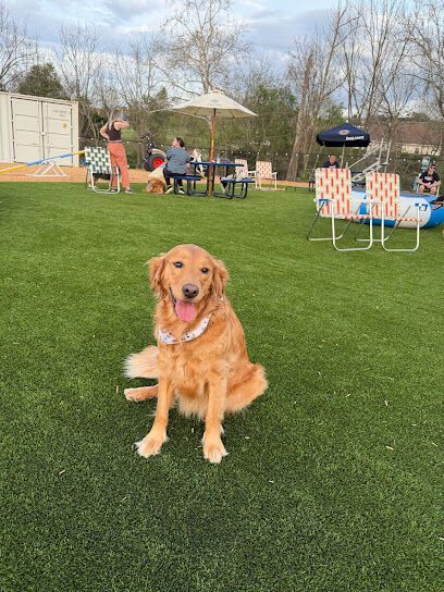 Off Leash Social - Eat. Drink. Pet Dogs