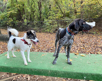 Kingsport Dog Park (Members Only)