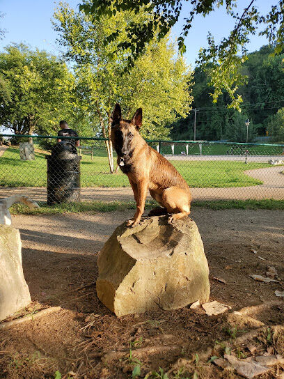 Concord Dog Park