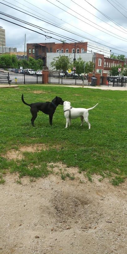 Petsafe Downtown Dog Park