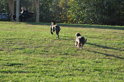 Plumb Creek Park