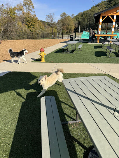 Wagbar Knox
