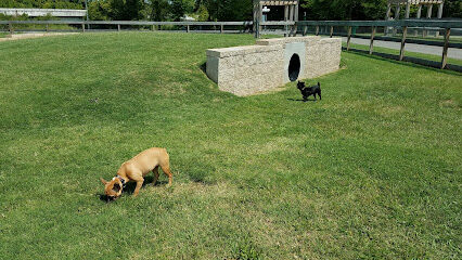 Dog Park