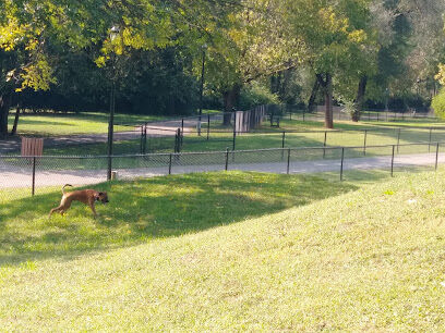 PetSafe Pistol Creek Dog Park