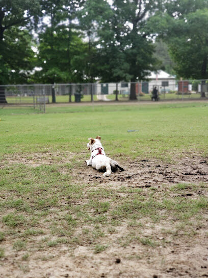 Bartlett Dog Park