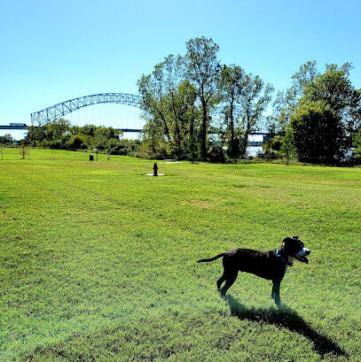 Mud Island Dog Park