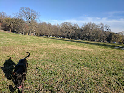 Overton Bark