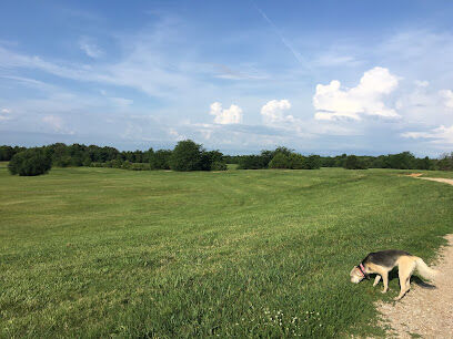 Shelby Farms Dog Park