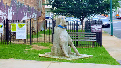 The Barking Lot Dog Park