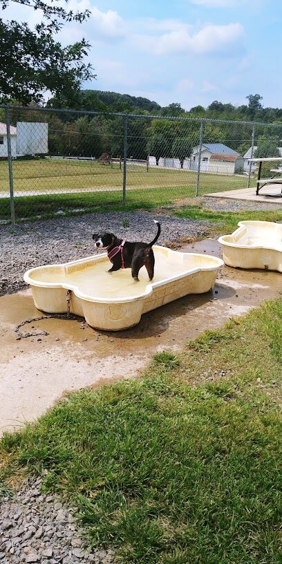 City of Morristown Dog Park