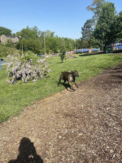 Blue's Dog Park