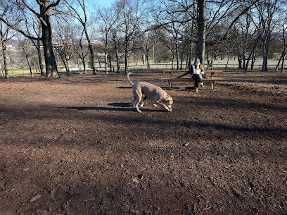 Centennial Dog Park