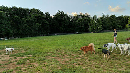 Edwin Warner Dog Park