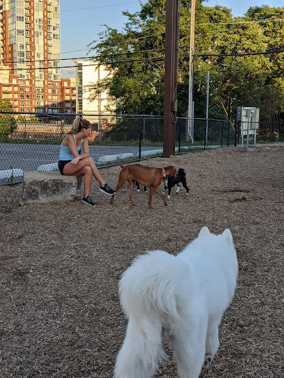 Gulch Dog Park
