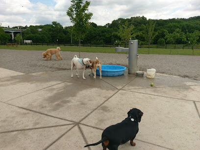 Stones River Dog Park