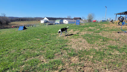 Boyd Foundation Dog Park