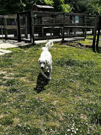 Phil White Dog Park