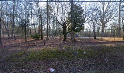 The Puppy Patch