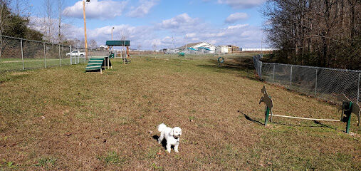 Central Bark Dog Park