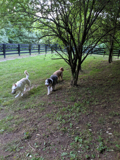 Nutro Dog Park