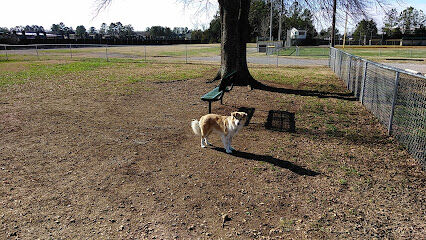 Pet Village Bark Park