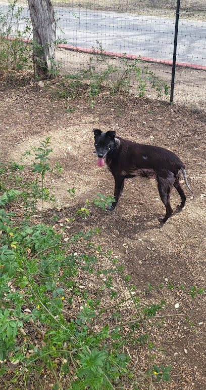 Alamo Heights Bark Park