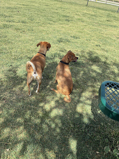 Dog Park at Love’s Travel Stops