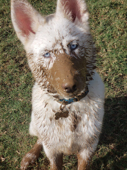 Rush Creek Dog Park #4