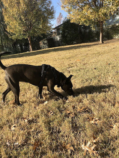 Four Paws Park