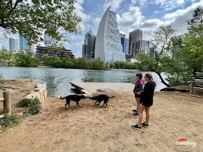 Dog Launch at Vic Mathias Shores