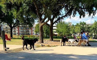 Domain Central Bark