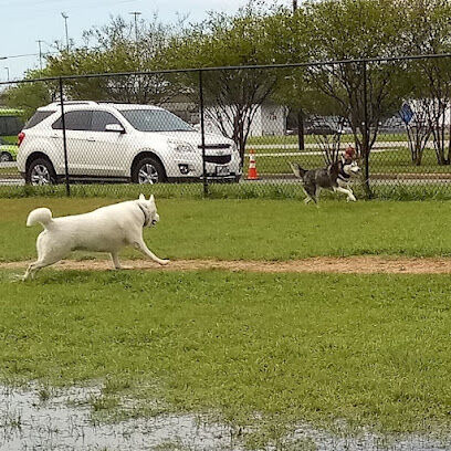 Bastrop Bark Park