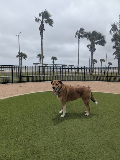 Vishal Bhagat Dog Park