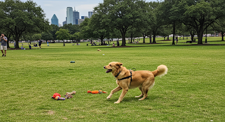 Parkhill Dog Park