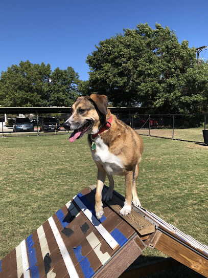 Redding Trail Dog Park