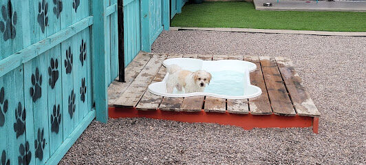 Gringo’s Bark Park