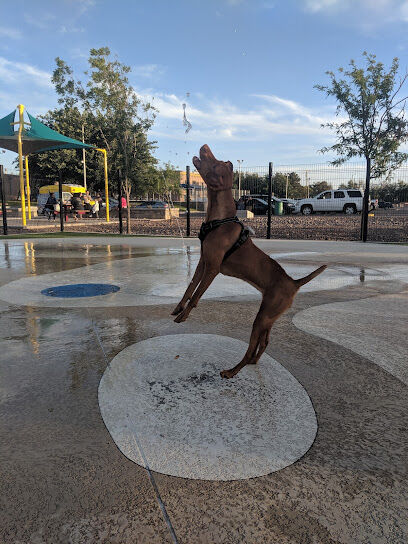 Pavo Real Splash Park/Dog Water Park