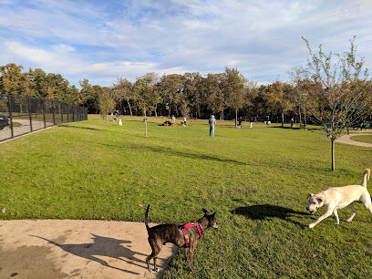 Hound Mound Dog Park