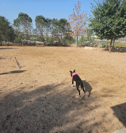 Calhound Dog Park